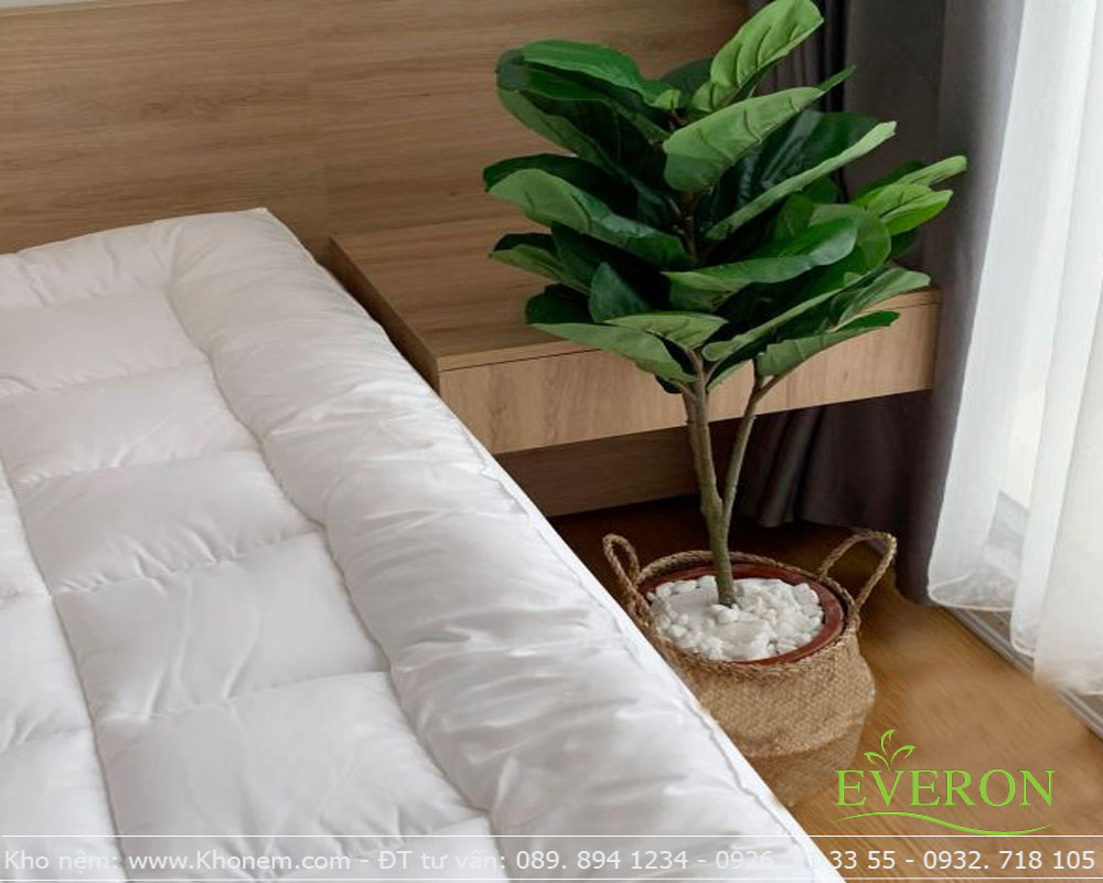 Tấm tăng tiện ích nệm Everon