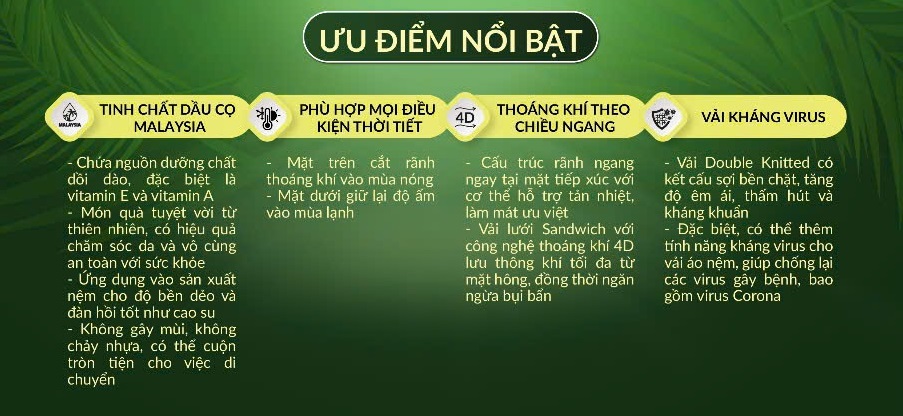 Tính Năng Vượt Trội Của Nệm Cao Su Dầu Cọ
