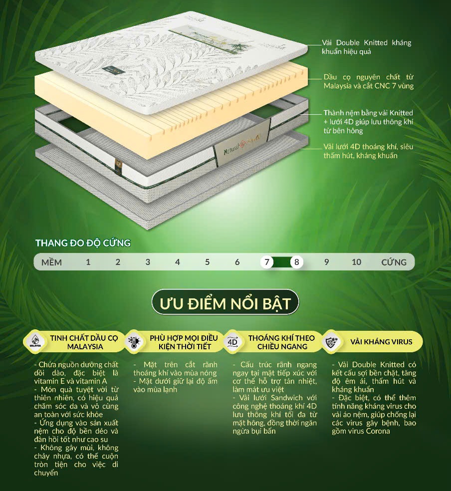 Nệm cao su dầu cọ thiên nhiên Nature Palm