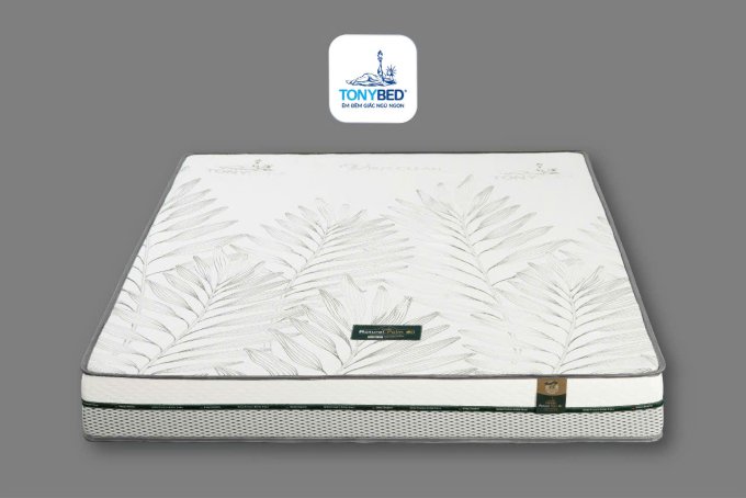 7 Lý Do Bạn Nên Chọn Nệm Cao Su Dầu Cọ Palm Nature