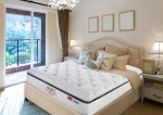 Nệm Dunlopillo Firmrest - Hàng Chính Hãng - Giá tại Kho Nệm