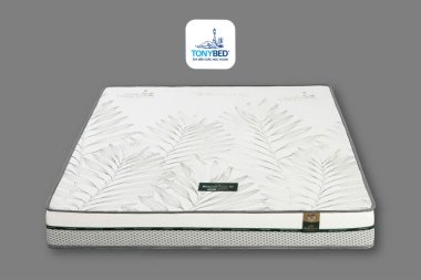 7 Lý Do Bạn Nên Chọn Nệm Cao Su Dầu Cọ Palm Nature