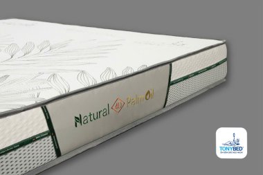Nệm cao su dầu cọ thiên nhiên Palm Nature