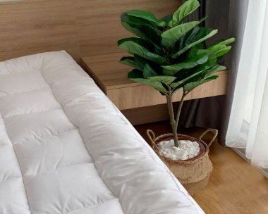 Nệm Topper bông Everon dày 5 (cm)